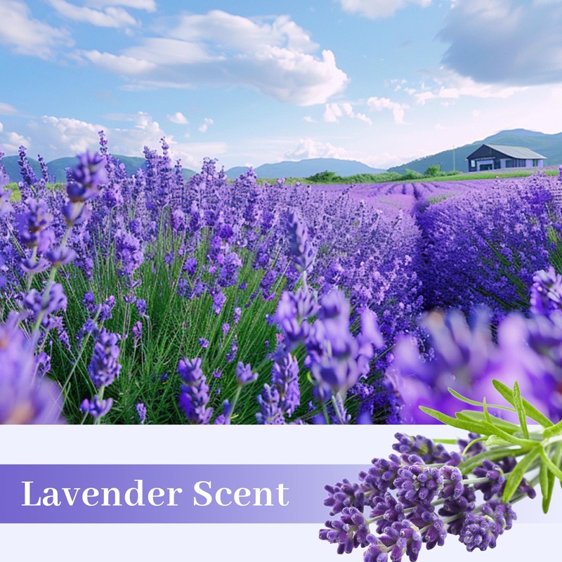 SCENTORINI Shelf Liners for Kitchen Cabinets Non-Adhesive, Lavender Scented Drawer