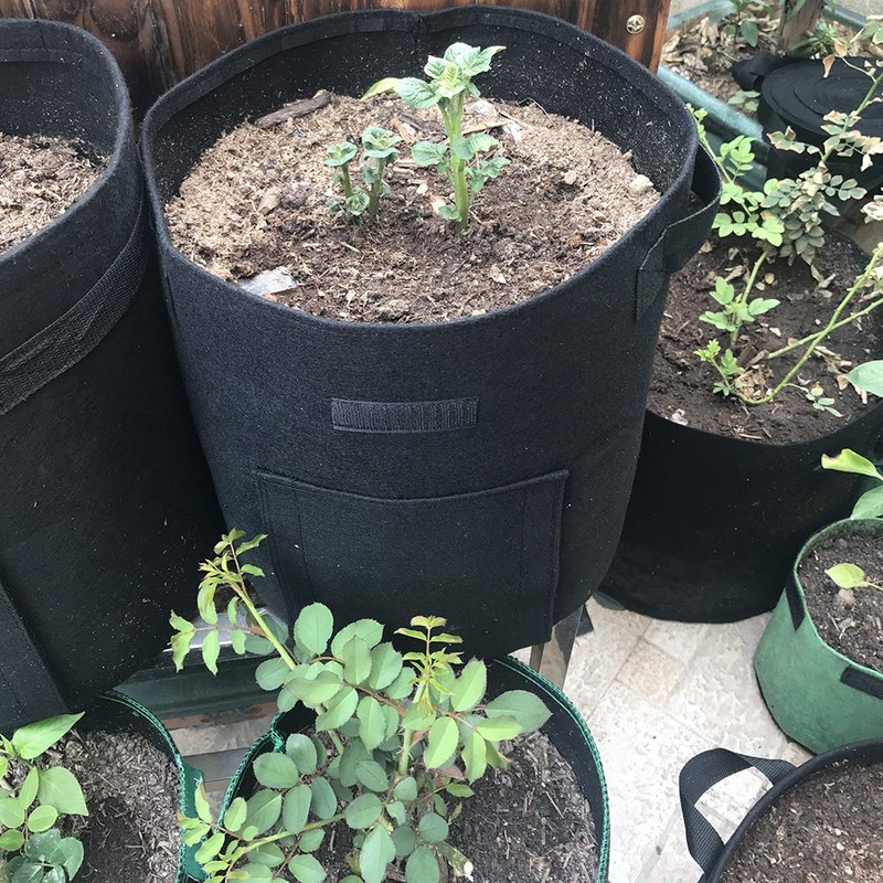 MIFXIN Potato Grow Bags 7 Gallon Potato Vegetable Garden Planter