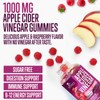 Nature's Nutrition Apple Cider Vinegar Gummies 1000mg for Detox &