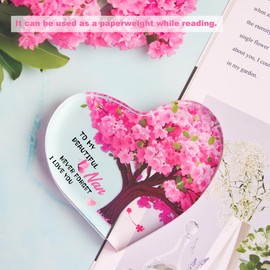 Nan Birthday Gifts, Nan Gifts from Grandchildren, Gifts for Nan Acrylic Plaque Desk Decor, Presents for Nan, Nan Gifts for Christmas Mother's Day Thanksgiving, Gift Ideas for Nan (Nan)