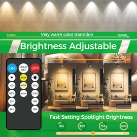 Dimmable Spot Lights Indoor with Timer and Remote,3W Plant Up Lighting Spotlights,3000K/4000K/5000K Floor Spotlights for Indoor Plant Art Highlights,2 Pack