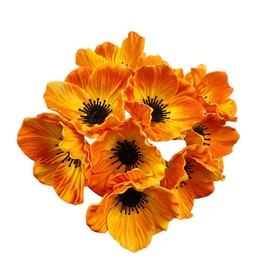 Rikyo 10 Stem 11inch Bouquets Artificial Flowers Poppy Flowers,Faux Anemone PU Fake Wild Flowers for Kitchen Table Centerpiece Vase,Home Wedding Holding Flowers Backdrop Arch Wall (Orange)