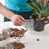 Doter Organic Orchid Potting Bark 1 QT, Featured Chunks Bark