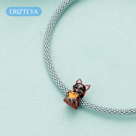 Erizteya 925 Sterling Silver Charms for Bracelets Necklaces, Elephant Cat Chameleon Dinosaur Dolphin Pendant Beads, Starfish Shell Turtle Paw Print Pendant Jewellery Gift for Women, Cubic Zirconia