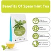 Samcci - Spearmint Tea Bags, 40 Teabags, 1.5g/bag - Pure