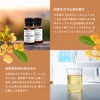 MILLATIUM Essential Oil Aroma Oil 10ml Osmanthus