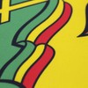 ANJOR 3x5 Fts Ethiopia Flag with Lion Flag - Lion