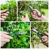 15-Piece Bonsai Tree Kit, Bonsai Tool Set, Bonsai Starter Kit,