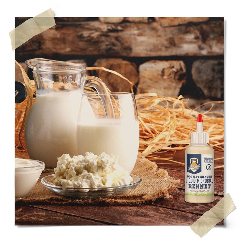 Liquid Microbial Rennet For Cheese Making, Vegetarian Milk Coagulant -