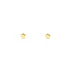 18ct Yellow Gold star 3.5 mm baby-newborn Earrings