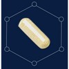 Korea Yakult Biolive 10 Billion Probiotics (120mg x 30 Capsules)