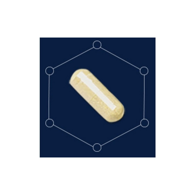 Korea Yakult Biolive 10 Billion Probiotics (120mg x 30 Capsules)