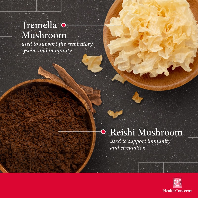 Health Concerns Power Mushrooms – Immune System & Natural Energy