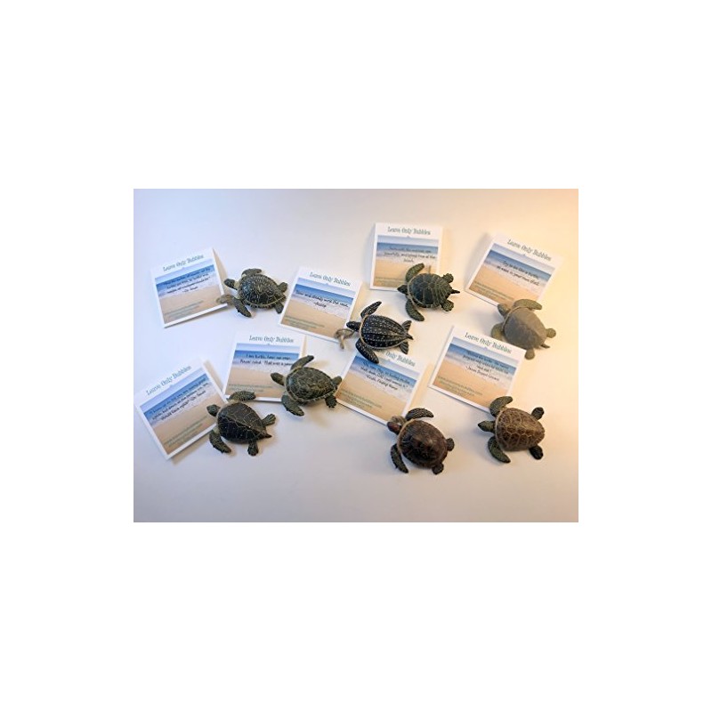 Leave Only Bubbles Collectible Set of sea Turtle Models