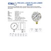 PIC Gauges PRO-201L-254J 0-500 PSI Pressure Gauge, 2 1/2" Dial,