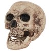 Bristol Novelty HI333 Skull, Brown/Beige, One Size