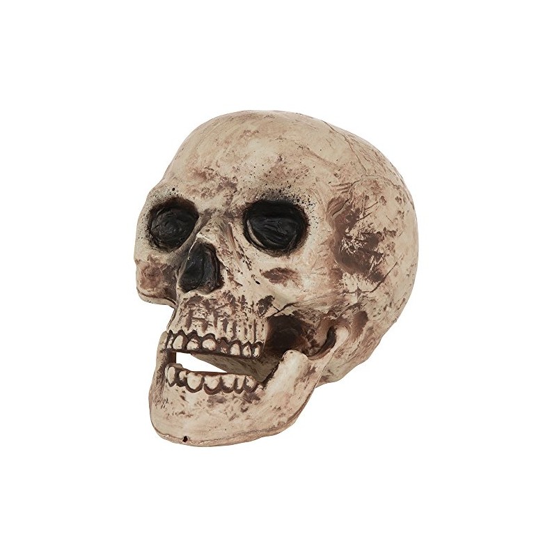 Bristol Novelty HI333 Skull, Brown/Beige, One Size