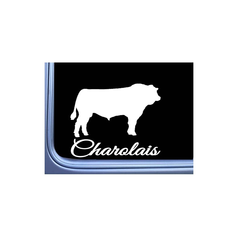 Charolais Bull Decal 6" Sticker OS 281 cattle cow beef