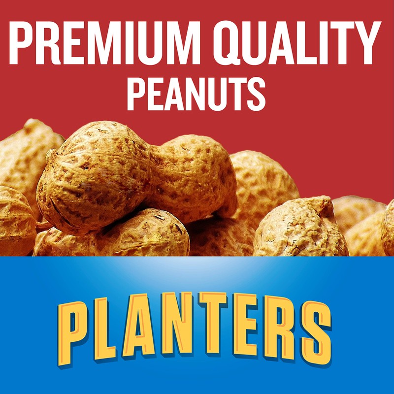 Planters Dry Roasted Peanuts (6 oz Packet)