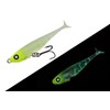 JACKALL(ジャッカル) Worm Jelly Sardine 54 Chart Jelly Glow