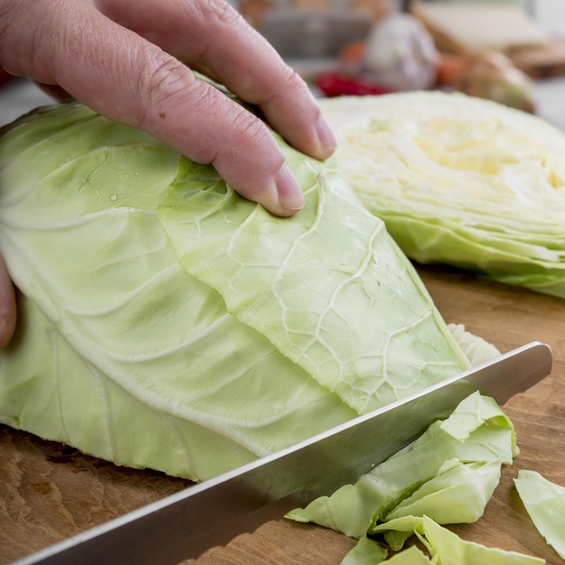 Vegetable Plants - Mixed Multi-Pack Bundle - Cabbages + Cauliflowers