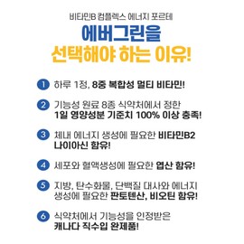 Highly concentrated vitamin B100, high-content active vitamin B complex, approximately 3 months' supply / 고농축 비타민B100 고함량 활성 비타민 B 컴플렉스 약3개월분