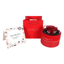 Axvxby Eternal Rose, Infinity Rose Gifts, Rose Box with Preserved Flowers, Gift for Mum, Girlfriend, Women, Mother's Day, Valentine's Day, Preserved Eternal Rose for Birthday, Anniversary (Red)