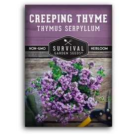 SURVIVAL GARDEN SEEDS Creeping Thyme Seed for Planting - 1 Packet with Instructions to Plant and Grow Resilient Ground Cover in Your Home Garden - Non-GMO Heirloom - Survival Garden Seeds