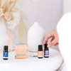 ECO. Modern Essentials Deep Sleep Essential Oil Trio, 3 x
