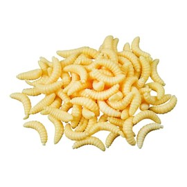 UUYYEO 300 Pcs 2cm Fake Worms for Fishing Bass Plastic Realistic Fishing Lures Wax Worms Soft Maggots Fishing Bait Silicone Larva Wiggler Lure Baits