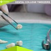 Cynamed Premium Dental College Tweezer Tools-Stainless Steel with Curved Serrated