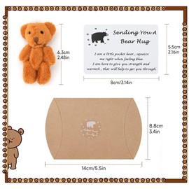 A Little Pocket Bear Hug, Sending You Pocket Hug Token, Cheer Up Thinking Of You Card Gifts for Women Kids, Miniature Plush Bear for Decoration and Comfort – Brown