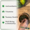 Plant People Kids Wondergreens Super Veggie Gomitas Niños Unidades