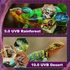 T5 HO UVB Lighting Combo Kit, Reptile Light Fixture with