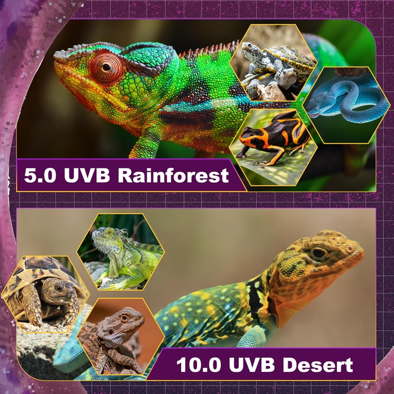 T5 HO UVB Lighting Combo Kit, Reptile Light Fixture with