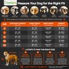 LovinPet Dog Recovery Bodysuit, Full Body Wound Protection for Large