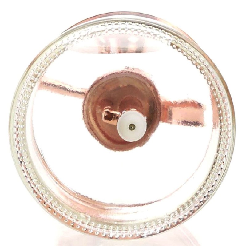 Purism Style Plant Mister- Glass Bottle & Brass Sprayer (Clear