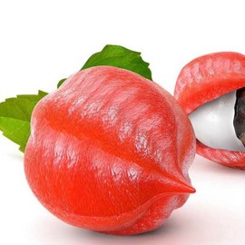 Shott Beverage Energy Boost syrup, Good flavor for Coffee, Cocktails, Tea & More.Energy Bost flavor syrup 33.81 ounces, Natural Energy Boost Flavor.