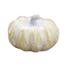 Thanksgiving Multicolored Pumpkin Decoration Tabletop Display Window Photo Props