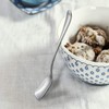 faderic Ice Cream Spoons, Shovel Spoon 6pcs,18/10 Stainless Steel Dessert