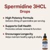 BUY THE CRAVE Spermidine Liquid Drops – 20mg per Serving