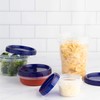PLASTICPRO Deli Containers Clear bottom With blue Top Twist on