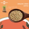 Sussex Wholefoods Organic Green Lentils 500g - Protein-Packed, Nutritious &