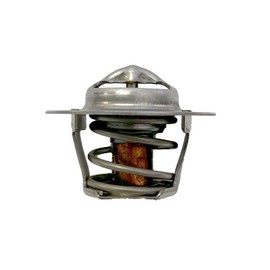 Raypak 019062F Unitherm Governor Kit for Avia Pool and Spa Gas-Fired Heater Models 264 and 404