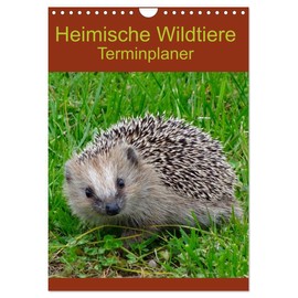 Heimische Wildtiere Terminplaner (Wandkalender 2024 DIN A4 hoch), CALVENDO Monatskalender: Wildtiere in ihrem natürlichen Lebensraum (CALVENDO Tiere)