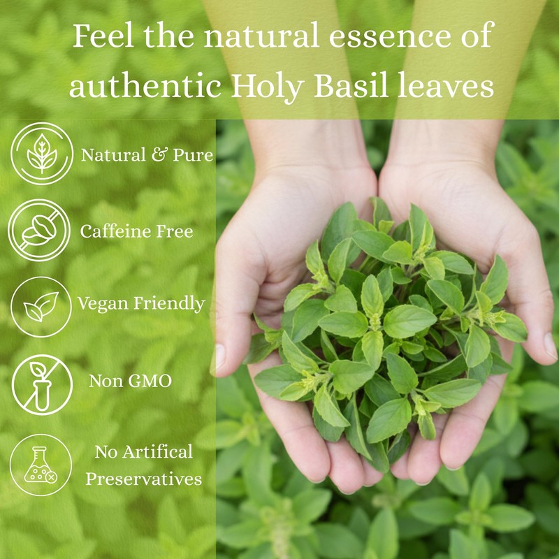 Basic Ayurveda Holy Basil (Tulsi) Leaves | 1.06 Oz (30g)