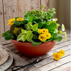 The HC Companies 20 Inch Large Garden Bowl Planter - Shallow Plant Pot with Drainage Plug for Indoor Outdoor Flowers, Herbs, Black (2 Pack)