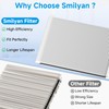 2 Pack Blue Pure 411i Max Replacement Filter Compatible with