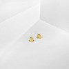 Replacement Pair (2) 18k Gold Plated Earring Screw Backs Fits