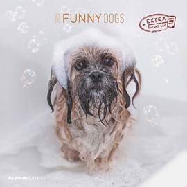 Funny Dogs 2025 Brochure Calendar 30 x 30 cm (30 x 60 Open) - Calendar with Space for Notes - Dogs - Picture Calendar - Wall Calendar - Dog Calendar
